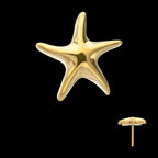 Low-Profile 3D Starfish Threadless Earring / Nosering – 24Kt Gold PVD Titanium