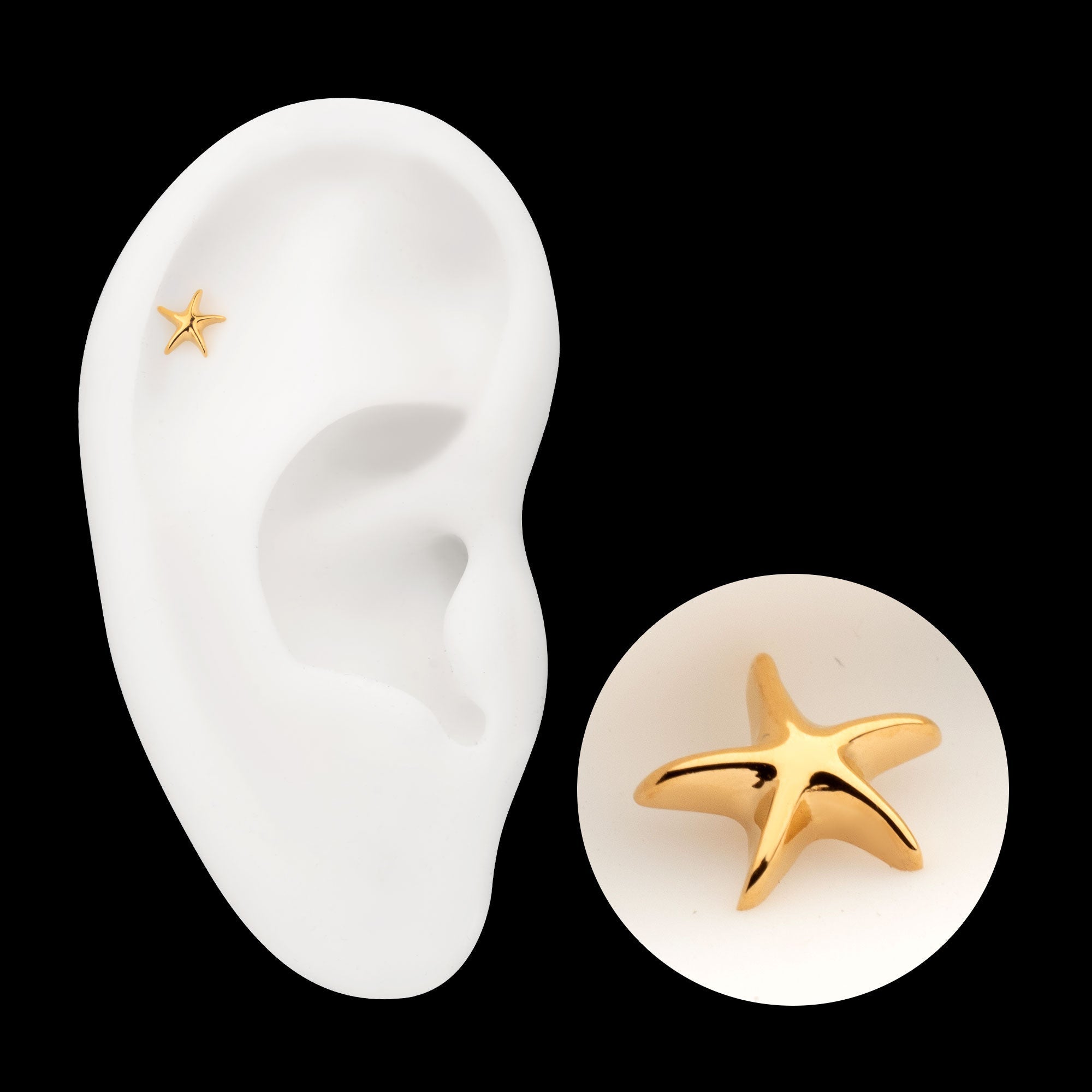 Low-Profile 3D Starfish Threadless Earring / Nosering – 24Kt Gold PVD Titanium