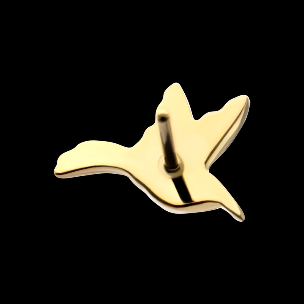 Low-Profile 3D Hummingbird Threadless Earring / Nosering – 24Kt Gold PVD Titanium