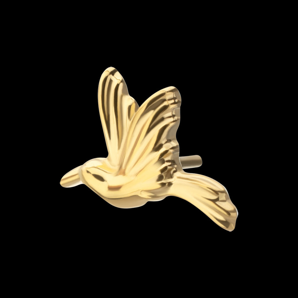 Low-Profile 3D Hummingbird Threadless Earring / Nosering – 24Kt Gold PVD Titanium