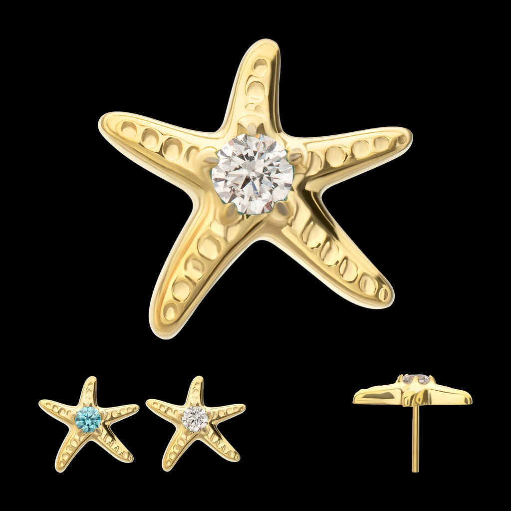 3D Starfish Prong-Set Gem Low-Profile Threadless Earring / Nosering – 24Kt Gold PVD Titanium