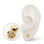 Prong-Set Gem Teddy Bear Threadless Earring / Nosering – 24Kt Gold PVD Titanium
