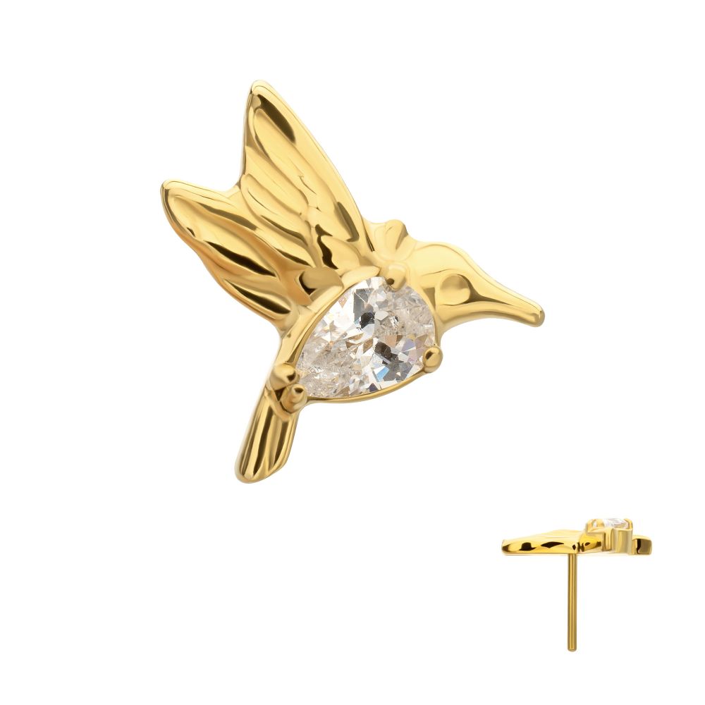 Prong-Set Teardrop Gem Hummingbird Threadless Earring / Nosering – 24Kt Gold PVD Titanium