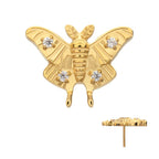 Luna Moth Threadless Earring / Nosering Top – Gem & 24Kt Gold PVD Titanium