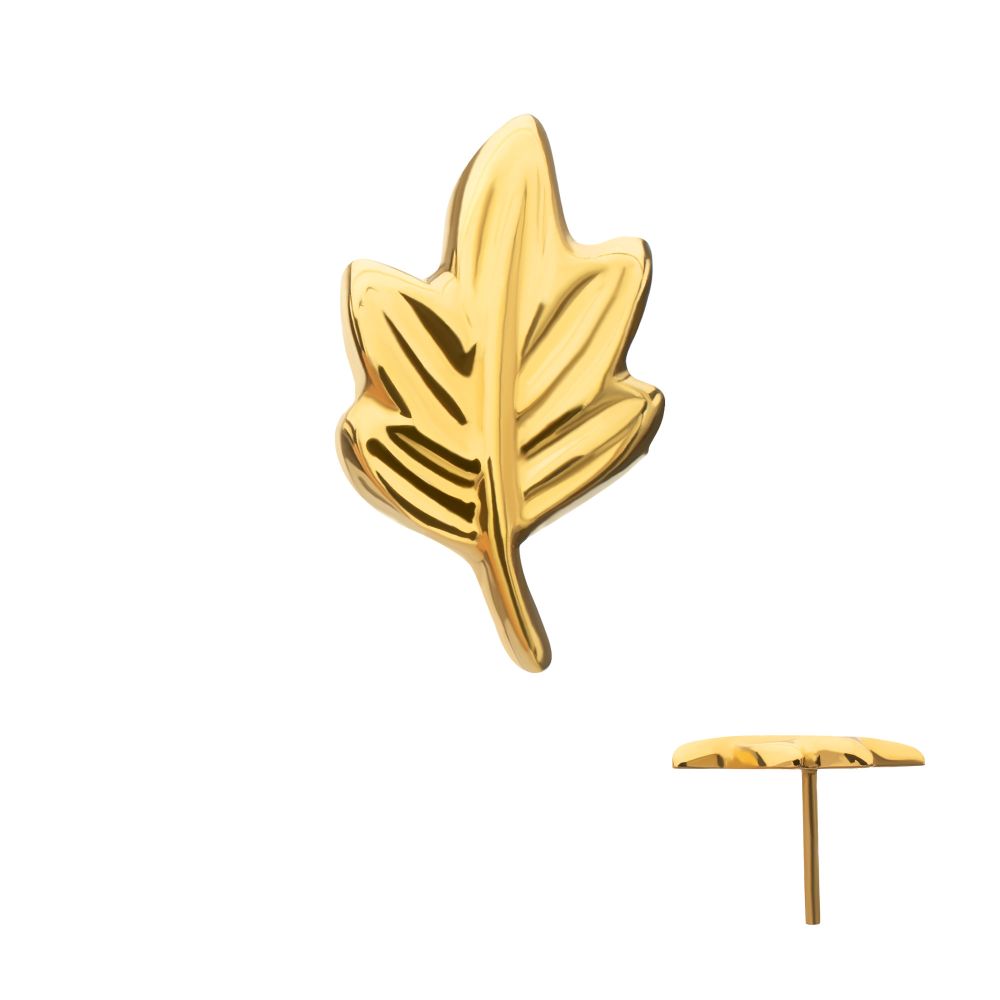 Leaf Threadless Earring / Nosering – 24Kt Gold PVD Titanium