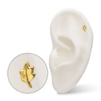 Leaf Threadless Earring / Nosering – 24Kt Gold PVD Titanium