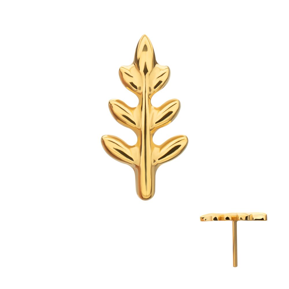 Fern Leaf Threadless Earring / Nosering – 24Kt Gold PVD Titanium