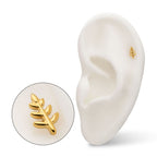 Fern Leaf Threadless Earring / Nosering – 24Kt Gold PVD Titanium
