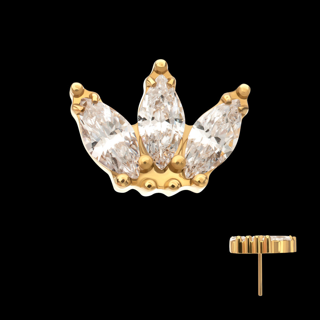 Beaded Edge Marquise Fan Gem Cluster Threadless Top Earring / Nosering – 24kt Gold PVD Titanium