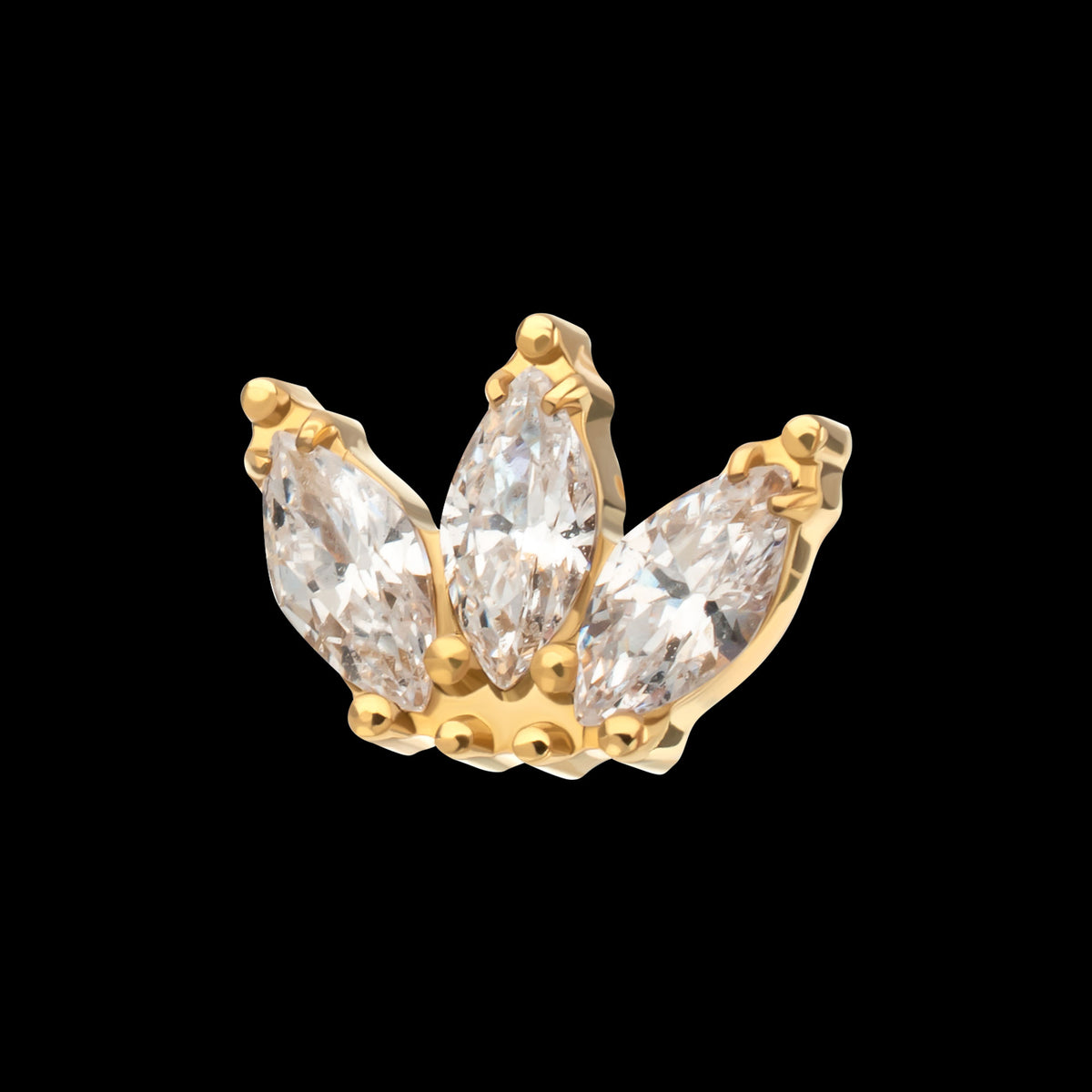 Beaded Edge Marquise Fan Gem Cluster Threadless Top Earring / Nosering – 24kt Gold PVD Titanium