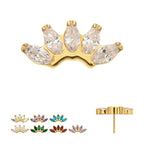 5-Marquise Gem Fan Cluster Threadless Earring / Nosering Top – Gem & 24Kt Gold PVD Titanium