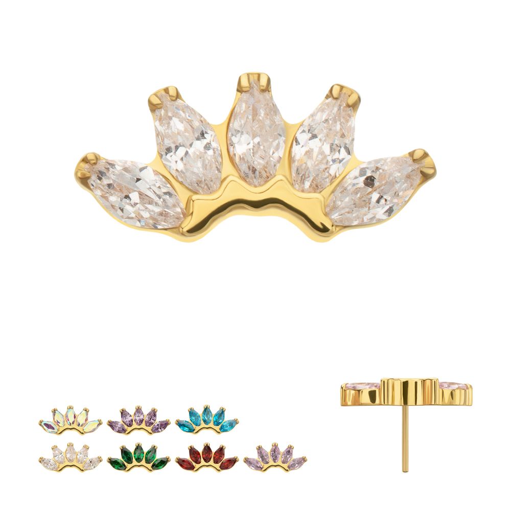 5-Marquise Gem Fan Cluster Threadless Earring / Nosering Top – Gem & 24Kt Gold PVD Titanium