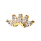 5-Marquise Gem Fan Cluster Threadless Earring / Nosering Top – Gem & 24Kt Gold PVD Titanium