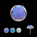 Prong Set Semi-Bezel Opal Low Profile Flatback Stud Earring / Nosering - Opal in Titanium
