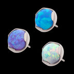 Prong Set Semi-Bezel Opal Low Profile Flatback Stud Earring / Nosering - Opal in Titanium