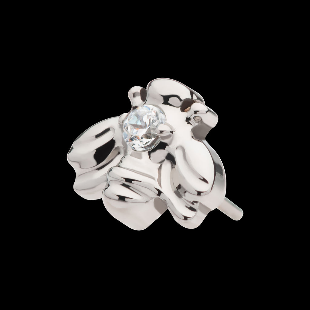 Prong Set CZ Bee Flatback Stud Earring / Nosering - CZ in Titanium
