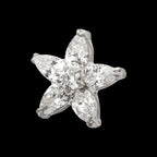 V-Prong Marquise Gem 5-Petal Flower Threadless Top Earring / Nosering – Titanium