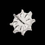 8-Cluster Prong Set Kite Shape CZ Flower Flatback Stud Earring / Nosering - CZ in Titanium