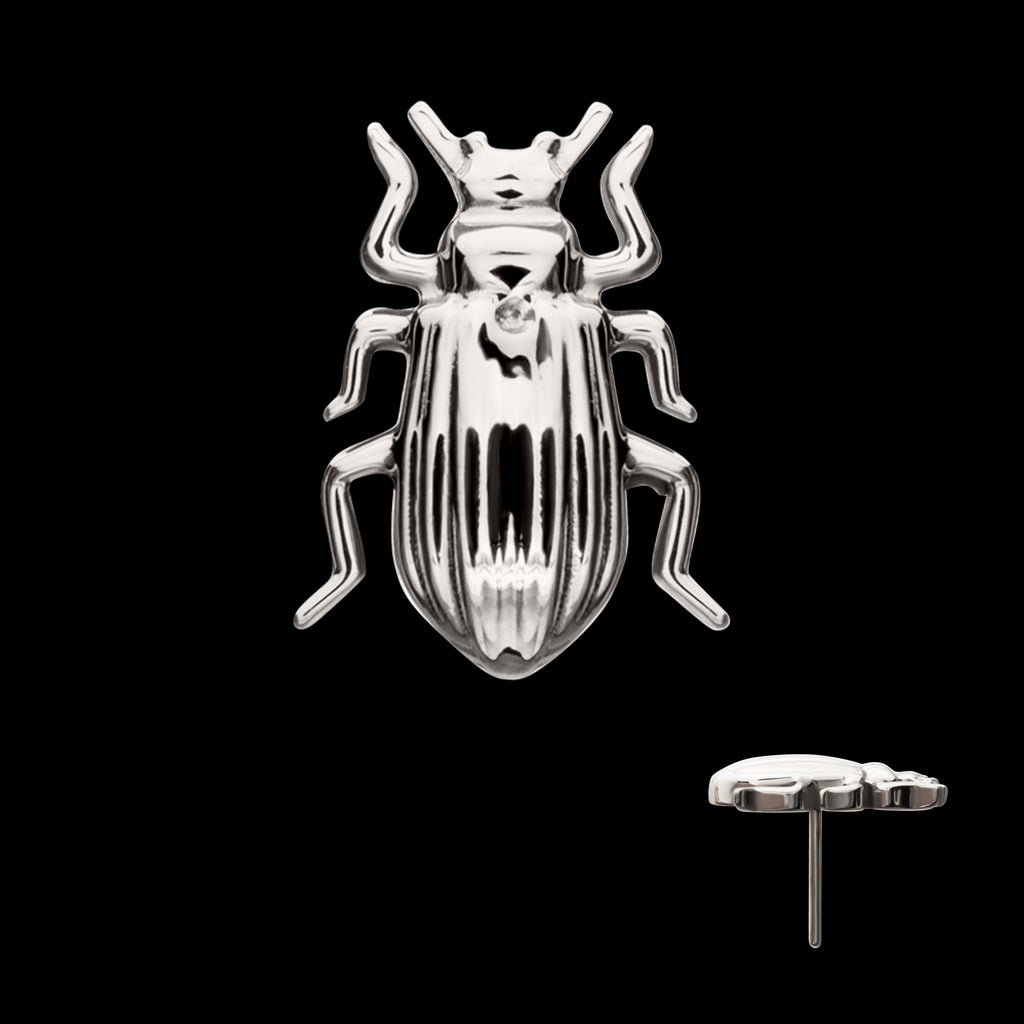 Beetle Flatback Stud Earring / Nosering - Titanium