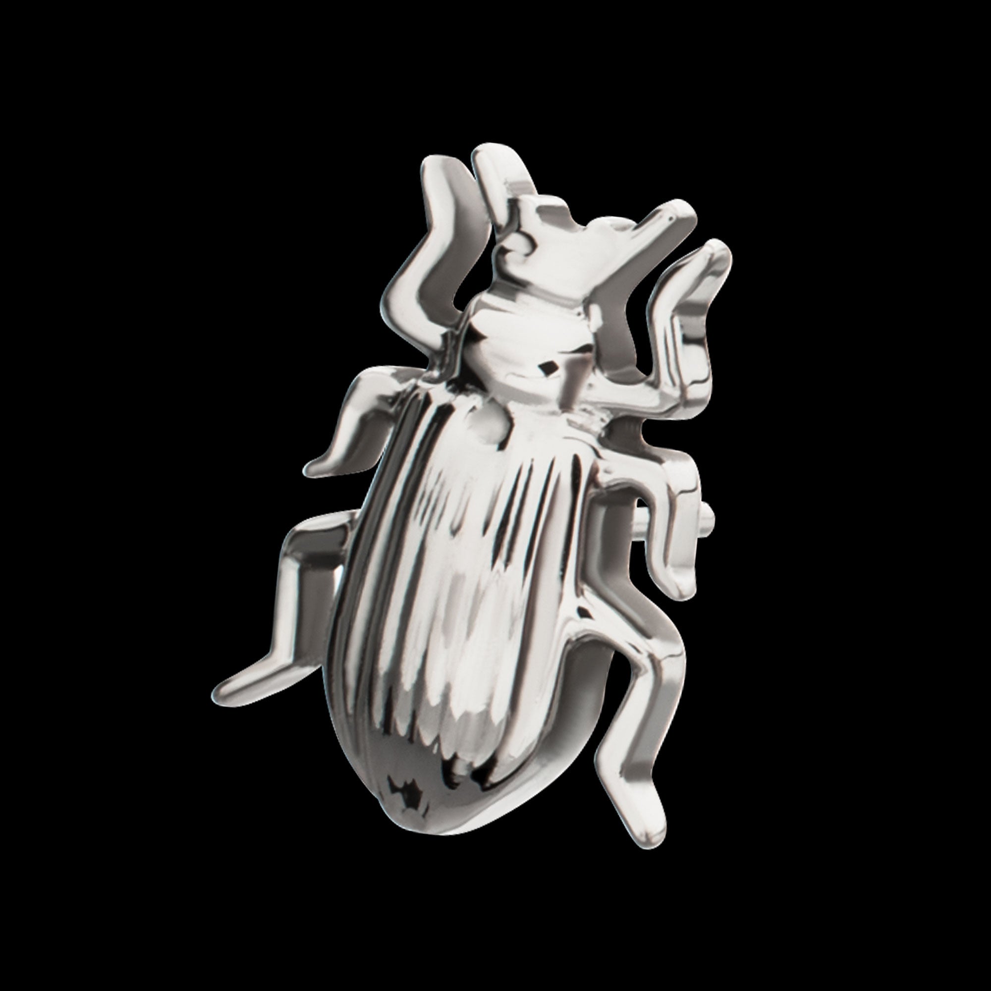 Beetle Flatback Stud Earring / Nosering - Titanium