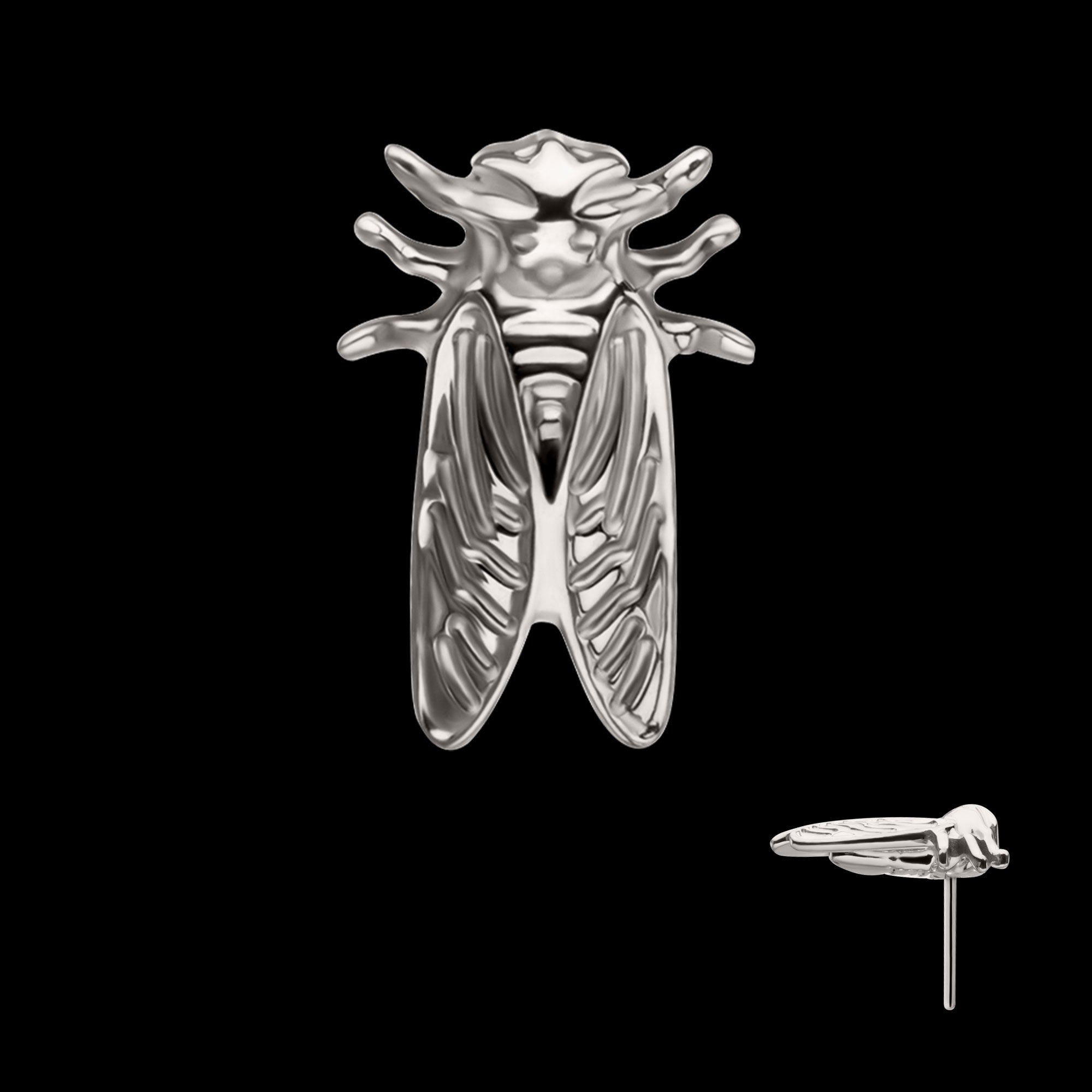 Cicada Flatback Stud Earring / Nosering - Titanium