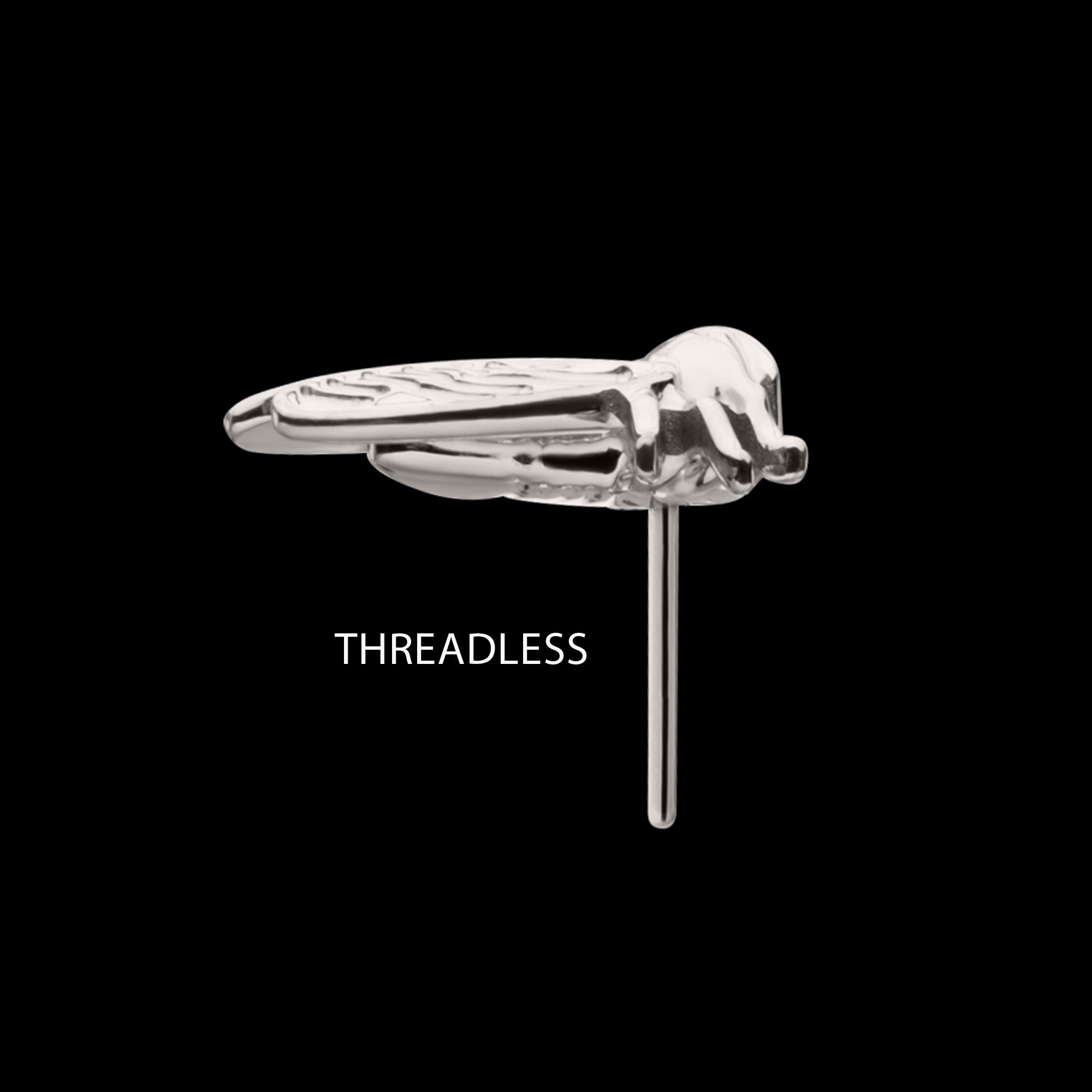 Cicada Flatback Stud Earring / Nosering - Titanium
