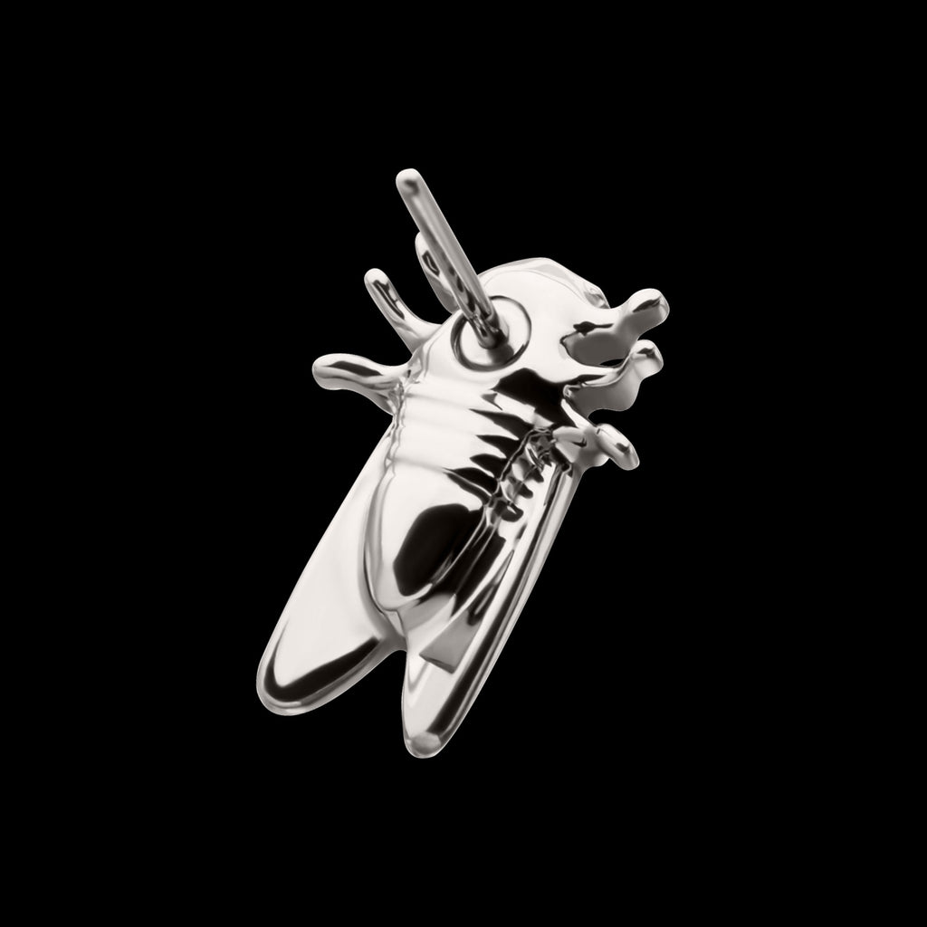 Cicada Flatback Stud Earring / Nosering - Titanium