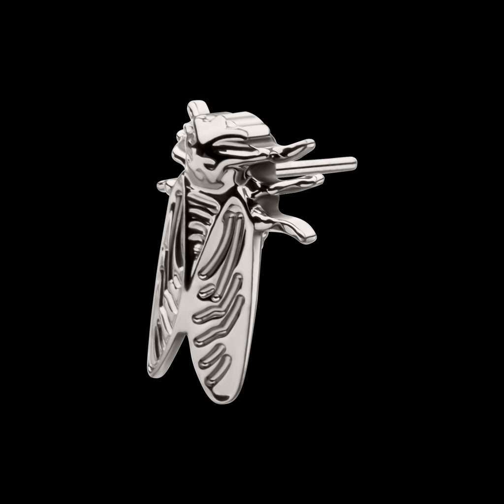 Cicada Flatback Stud Earring / Nosering - Titanium