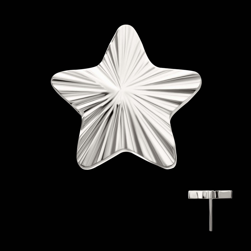 Corrugated Star Flatback Stud Earring / Nosering - Titanium