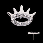 Prong Set Gem Eye and Lash Flatback Stud Earring / Nosering - Gem in Titanium