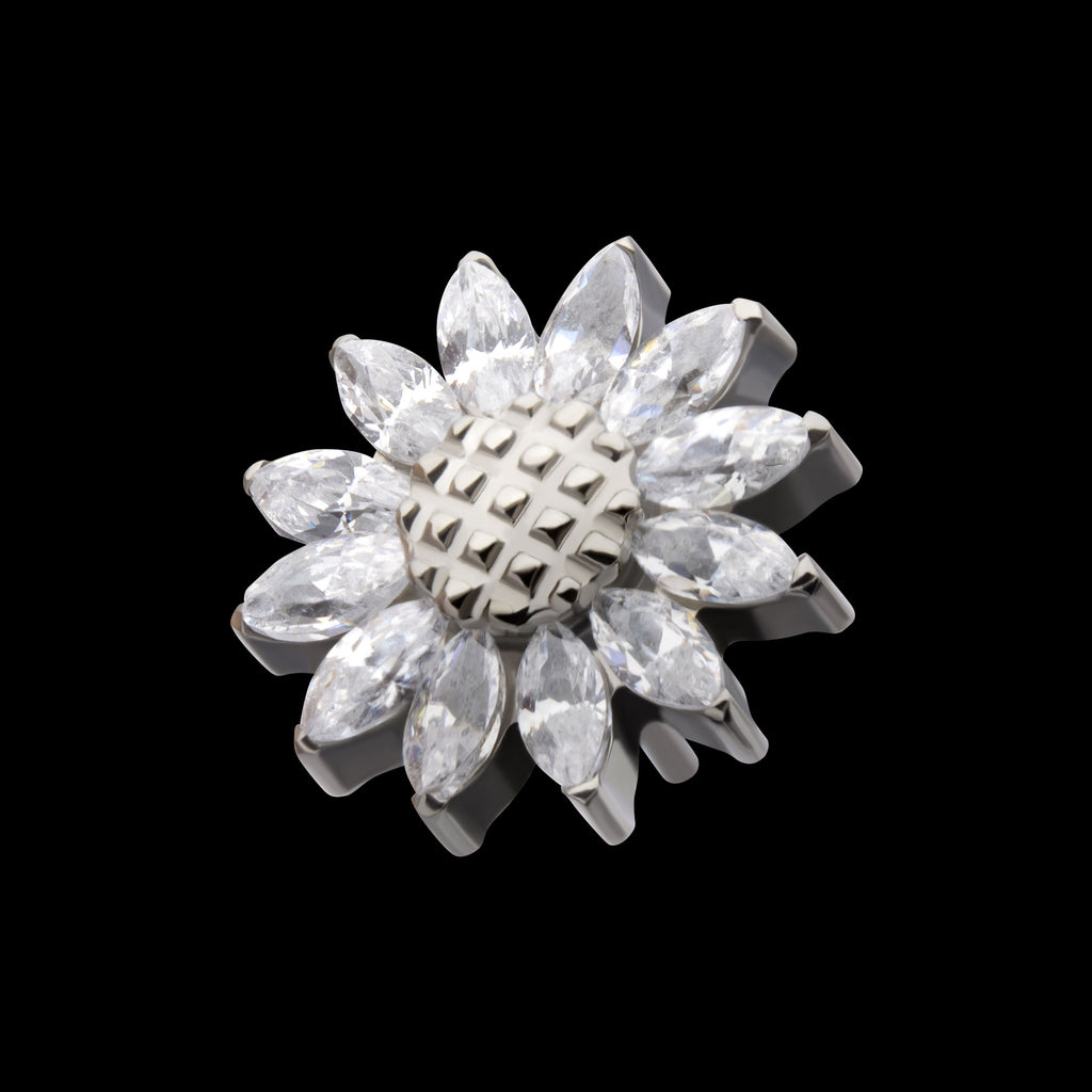 Prong Set Marquise Gem Sunflower Flatback Stud Earring / Nosering - Gem in Titanium