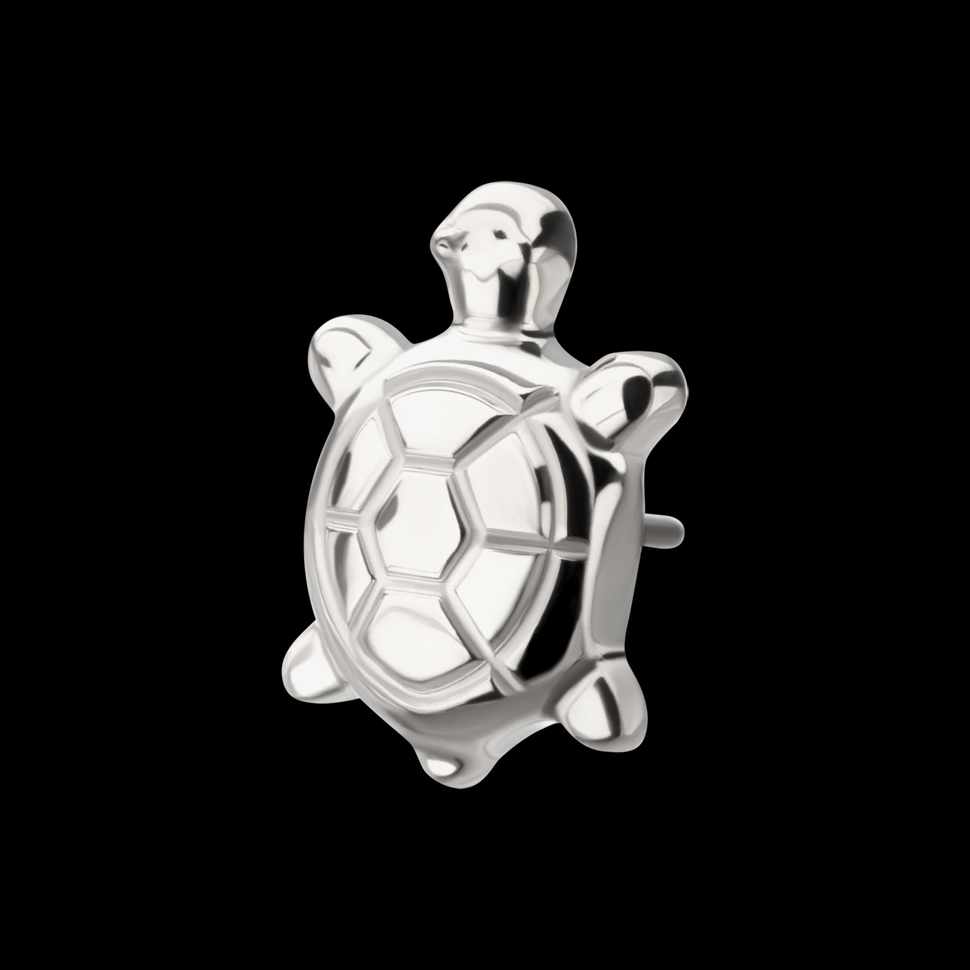 Low-Profile 3D Corrugated Land Turtle Threadless Earring / Nosering – Titanium