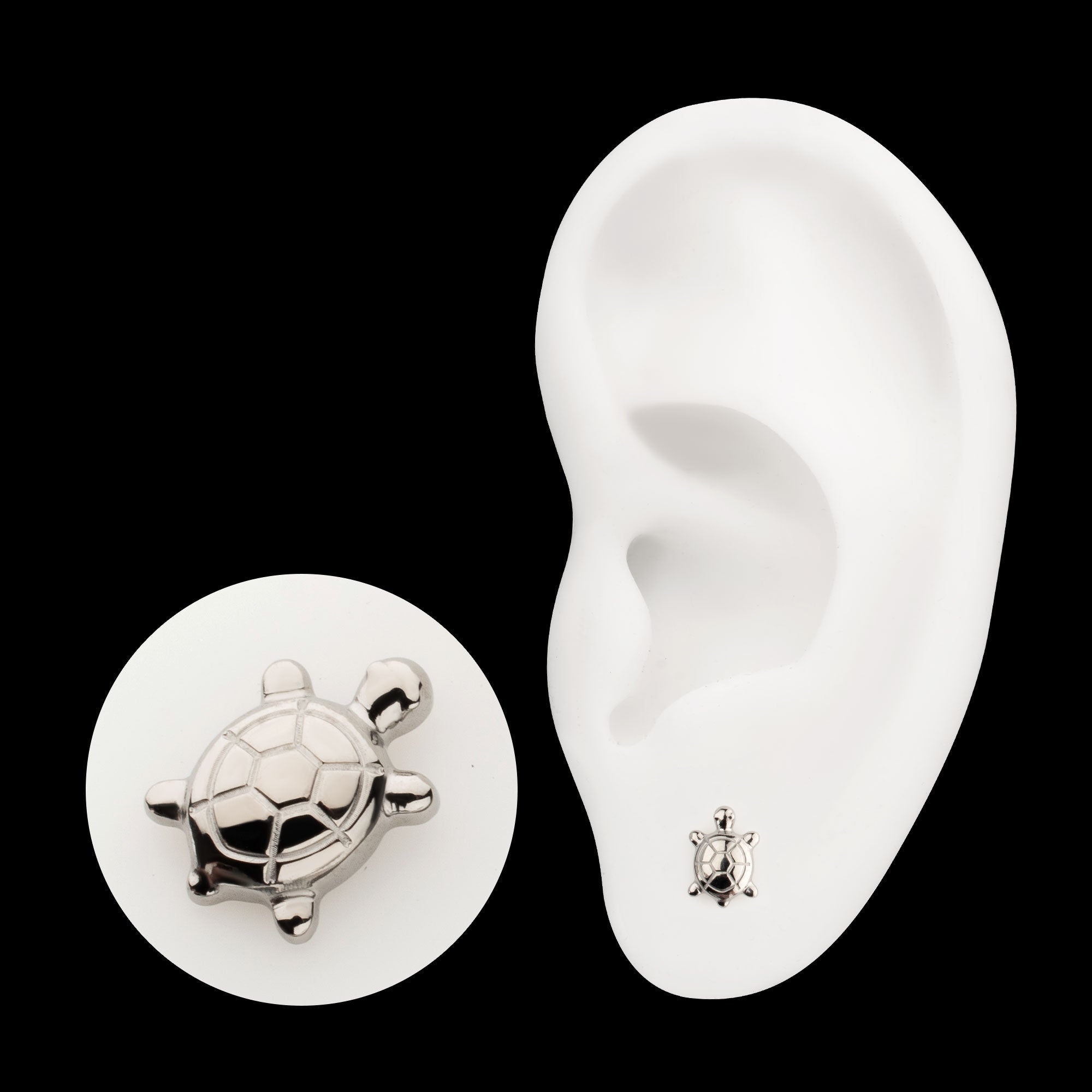 Low-Profile 3D Corrugated Land Turtle Threadless Earring / Nosering – Titanium