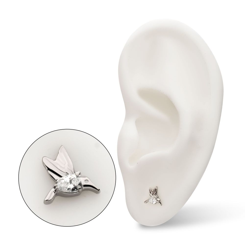 Prong-Set Teardrop Gem Hummingbird Threadless Earring / Nosering – Titanium