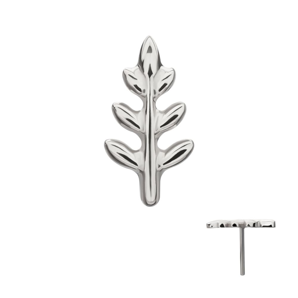 Fern Leaf Threadless Earring / Nosering – Titanium