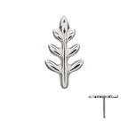 Fern Leaf Threadless Earring / Nosering – Titanium