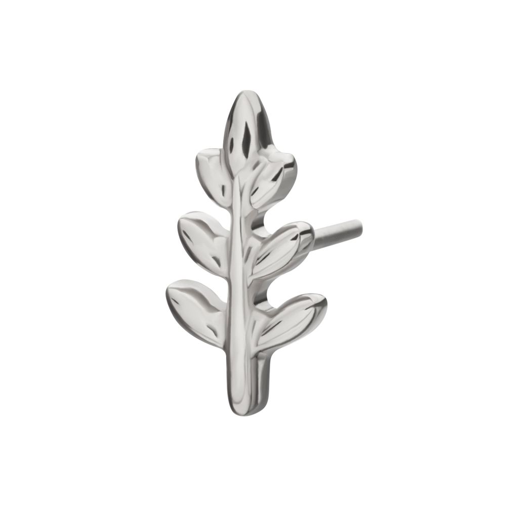 Fern Leaf Threadless Earring / Nosering – Titanium