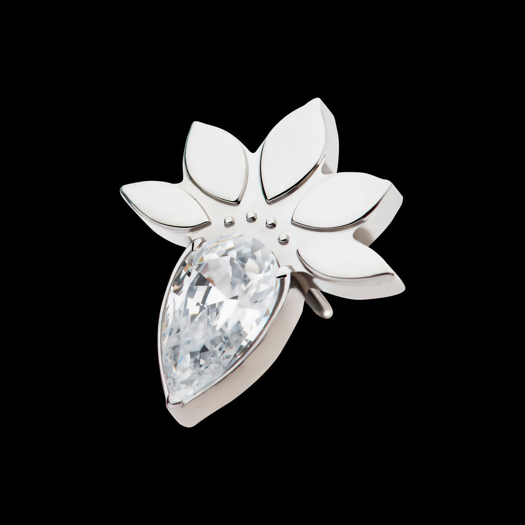 Marquise Cluster Fan Shape with Teardrop CZ Flatback Stud Earring / Nosering - CZ in Titanium