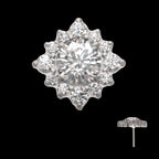 Radiant Cluster Flatback Stud Earring / Nosering - Titanium