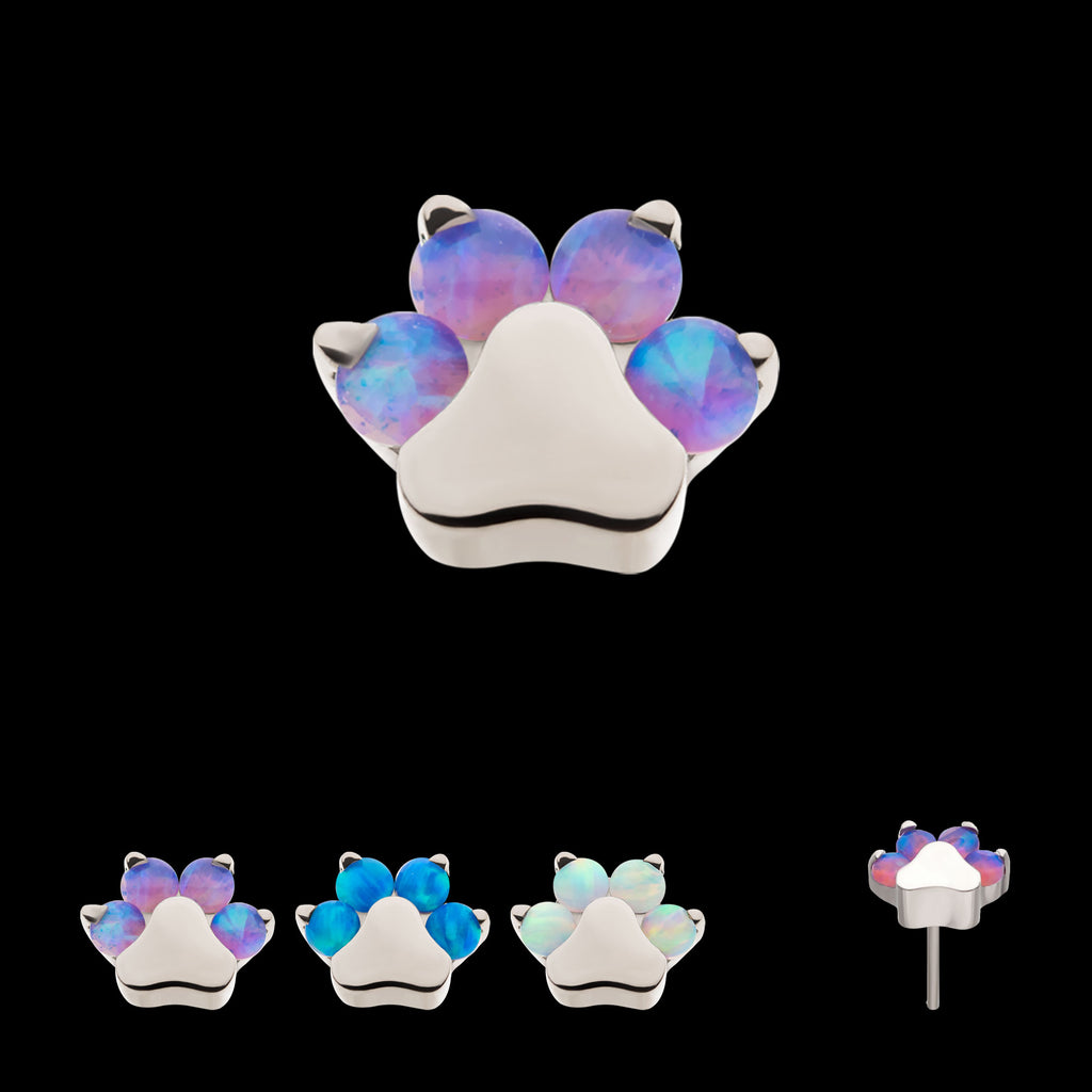 Prong Set Opal 4-Cluster Paw Flatback Stud Earring / Nosering - Opal in Titanium