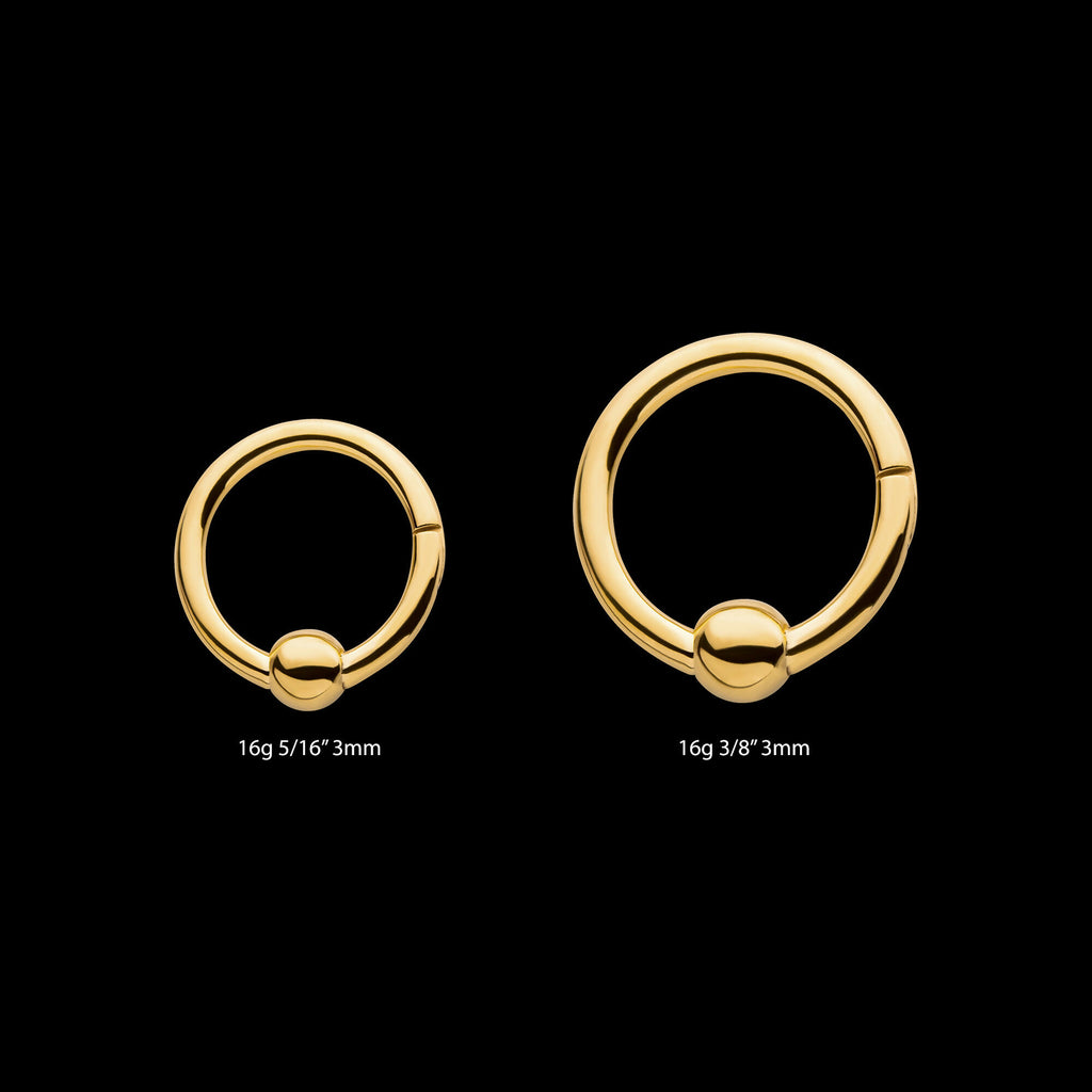 24KT Gold PVD Titanium Ball Hinged Segment Ring Earring / Nosering