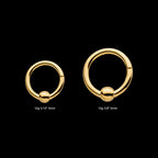 24KT Gold PVD Titanium Ball Hinged Segment Ring Earring / Nosering