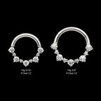 Clustered Prong Set 1mm and 2mm Round CZ Front Facing Hinged Segment Clicker Hoop Earring / Nosering – Titanium
