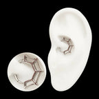 Spiderweb Front Facing Hinged Segment Clicker Hoop Earring / Nosering – Titanium