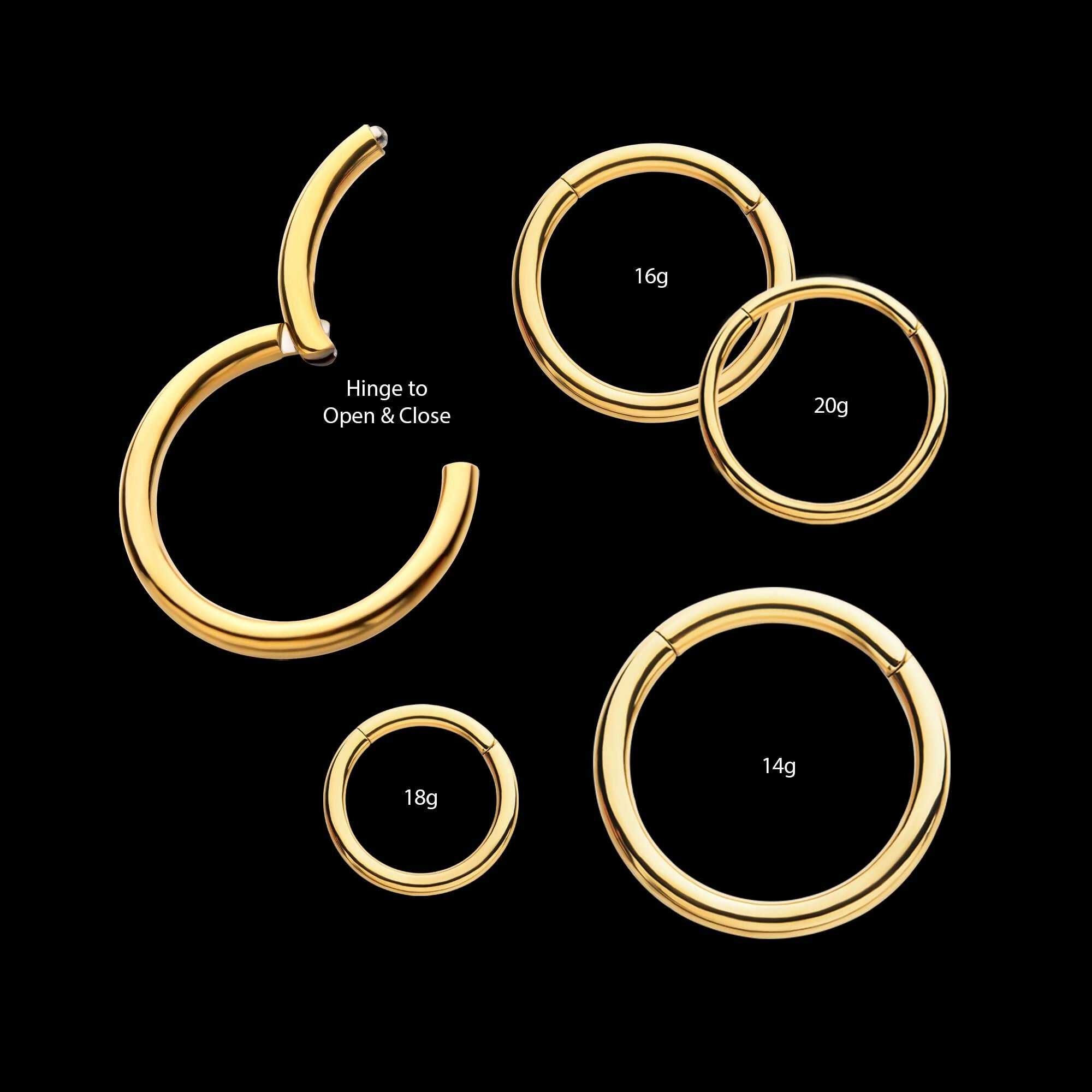 24KT Gold PVD Titanium Hinged Segment Clicker (20g to 14g)