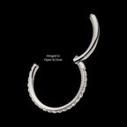 Titanium with 1mm CNC Set Clear CZ Eternity Gem Side Facing Hinged Segment Clicker