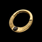 24Kt Gold PVD Titanium Radiant Hoop with Black Prong Set Gem Front Facing Hinged Segment Clicker Earring / Nosering